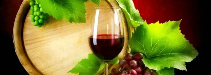 IL VINO - INFORMAZIONE SUI COMPONENTI E SUGLI EFFETTI