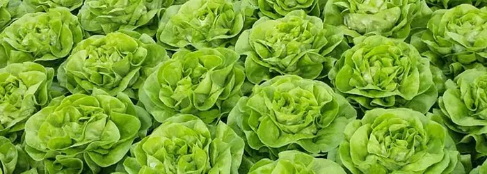 Rubrica del Venerdì 27-11-2020