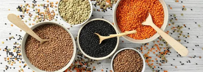 Rubrica del Venerdì 11-12-2020