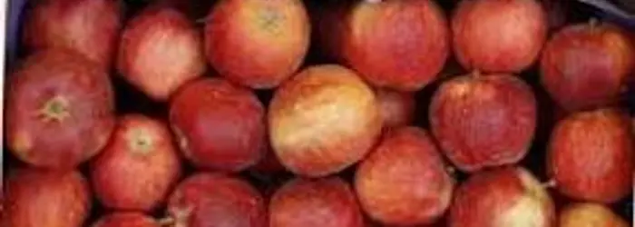 Rubrica del Venerdì 08-11-2019