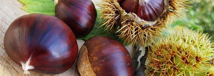 Della frutta e verdura e pesce da mettere in tavola il mese di ottobre