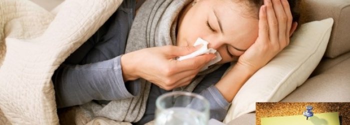 Di come comportarsi quando arriverà (e state sicuri che arriverà) il virus dell'influenza e di altre curiosità