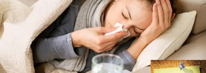 Di come comportarsi quando arriverà (e state sicuri che arriverà) il virus dell'influenza e di altre curiosità