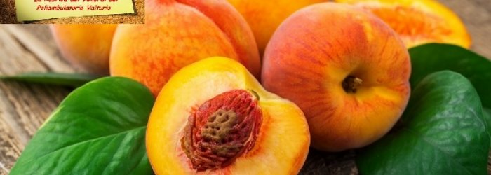 Delle proprietà salutari delle pesche, e di qualche altra curiosità