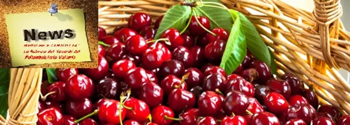 Della frutta e verdura che ci delizierà in questo fine maggio