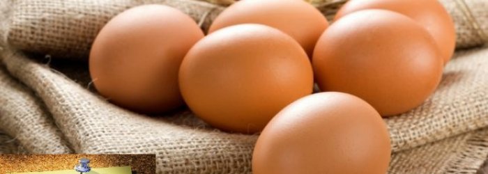 Della rivalutazione del valore nutritivo dell'uovo e altre curiosità