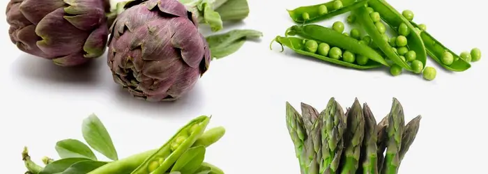 Rubrica di Venerdì 15 Febbraio