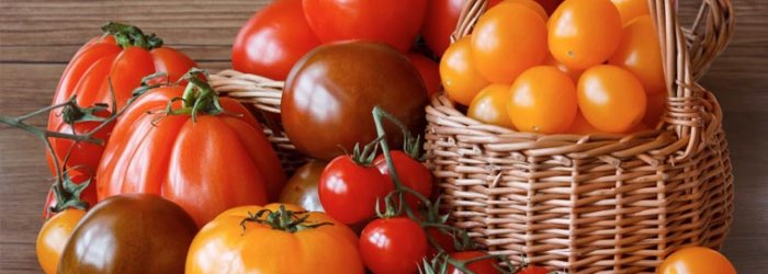 Delle virtù salutari del pomodoro e di qualche altra curiosità, di questo tratteremo nella Rubrica di Venerdì 1 Giugno.