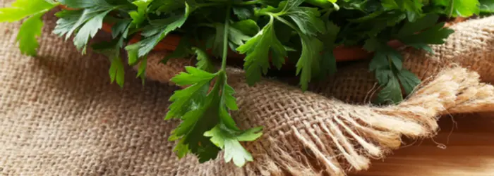 Rubrica di Venerdì 17 Gennaio