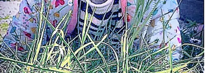 Rubrica del Venerdì 23-04-2021