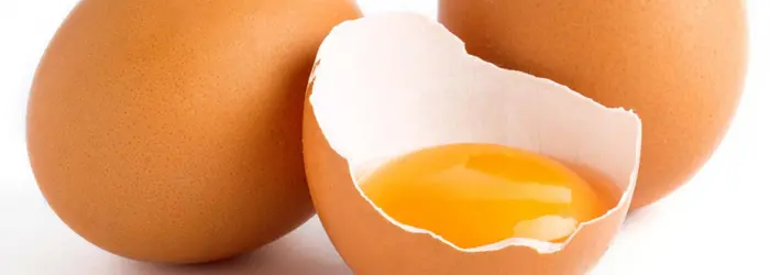 La Rubrica del Venerdì