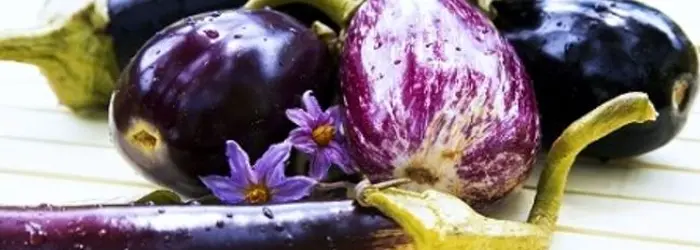 Rubrica del Venerdì 04-09-2020