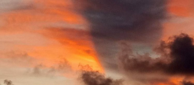 La Rubrica del Venerdì 14/01/2022