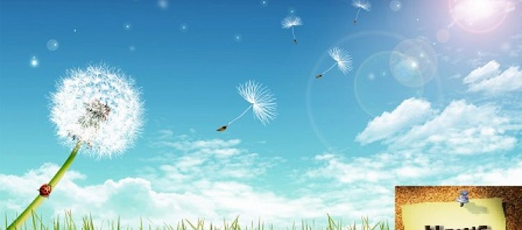 Di come difendersi dai pollini e di qualche altra curiosità