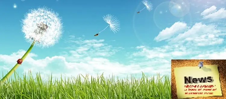 Di come difendersi dai pollini e di qualche altra curiosità