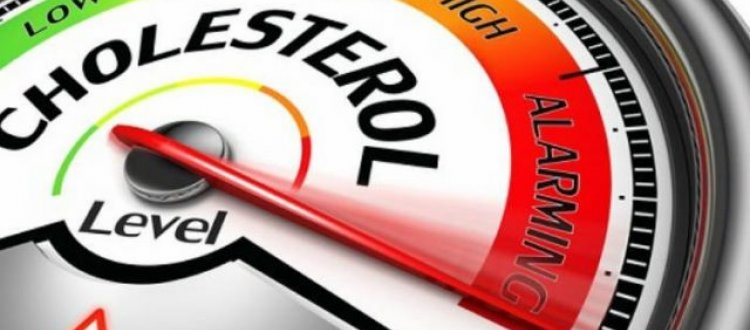 Rubrica del Venerdì 15-11-2019
