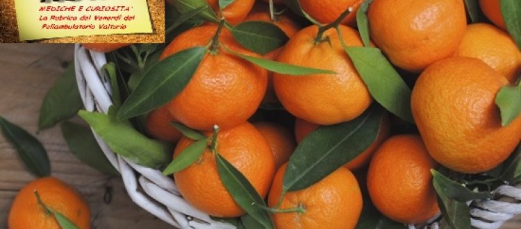 Della frutta, verdura e del pesce da mettere in tavola nel mese di dicembre e di qualche altra curiosità