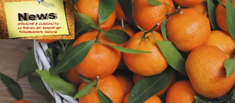 Della frutta, verdura e del pesce da mettere in tavola nel mese di dicembre e di qualche altra curiosità