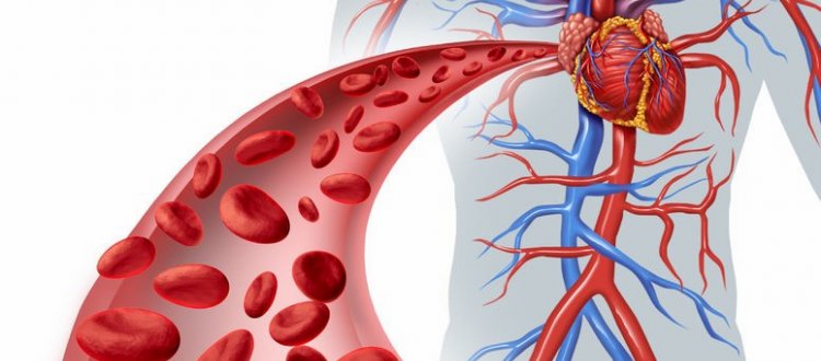 Qualche consiglio per mantenere bassa la pressione senza ricorrere alle medicine e qualche altra curiosità di questo tratteremo nella rubrica di Venerdì 8 Settembre ’17