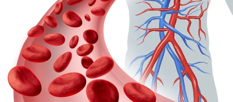 Qualche consiglio per mantenere bassa la pressione senza ricorrere alle medicine e qualche altra curiosità di questo tratteremo nella rubrica di Venerdì 8 Settembre ’17
