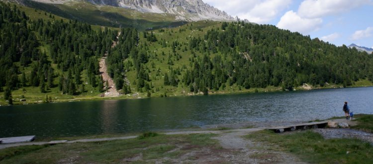 La Rubrica del Venerdì 30-07-2021