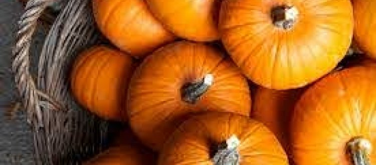 Rubrica del Venerdì 13-11-2020