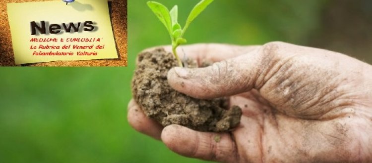 Convegno sull'Agricoltura Locale per la salute dell'uomo e dell'ambiente