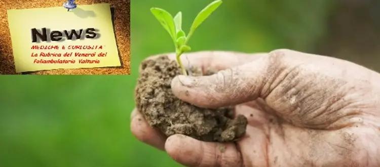 Convegno sull'Agricoltura Locale per la salute dell'uomo e dell'ambiente