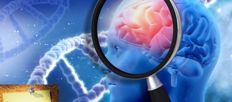 Degli stili di vita consigliati per prevenire  il morbo di Alzheimer e di qualche altra curiosità