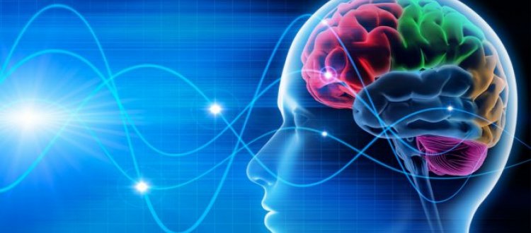 Qualche consiglio per mantenere il cervello in forma e qualche altra curiosità, di questo tratteremo nella Rubrica di Venerdì 6 Luglio ’18.
