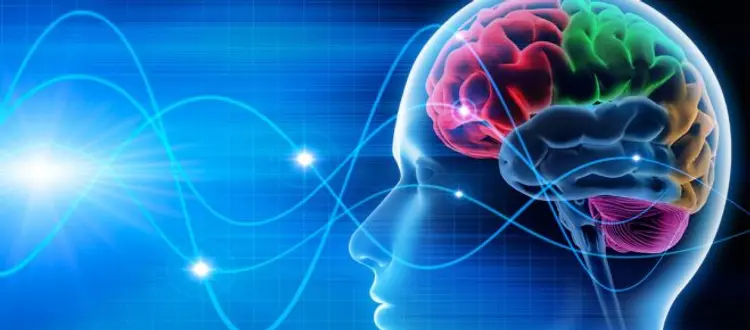 Qualche consiglio per mantenere il cervello in forma e qualche altra curiosità, di questo tratteremo nella Rubrica di Venerdì 6 Luglio ’18.