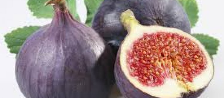 Della piacevolezza e delle proprietà salutari dei fichi   e di qualche altra curiosità, di questo tratteremo nella Rubrica di Venerdì 11 Agosto.