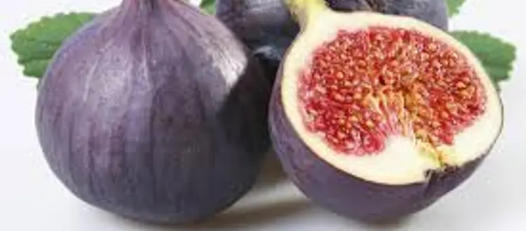 Della piacevolezza e delle proprietà salutari dei fichi   e di qualche altra curiosità, di questo tratteremo nella Rubrica di Venerdì 11 Agosto.