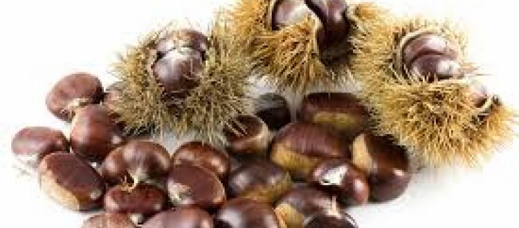 Delle proprietà salutari e gustative delle castagne e di qualche altra curiosità, di questo tratteremo nella Rubrica di Venerdì 27 Ottobre.