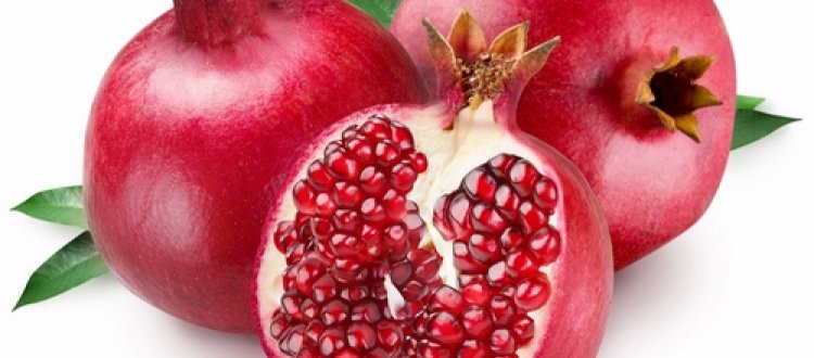 Rubrica di Venerdì 25 Ottobre 2019