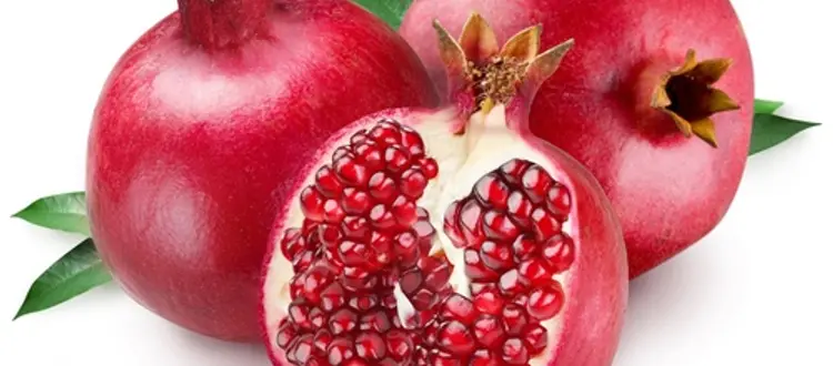 Rubrica di Venerdì 25 Ottobre 2019