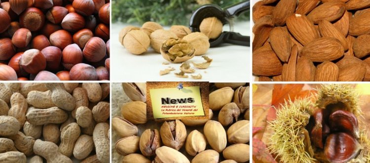 La frutta secca e le sue grandi proprietà, per diminuire il girovita addominale e proteggere il sistema cardiovascolare,