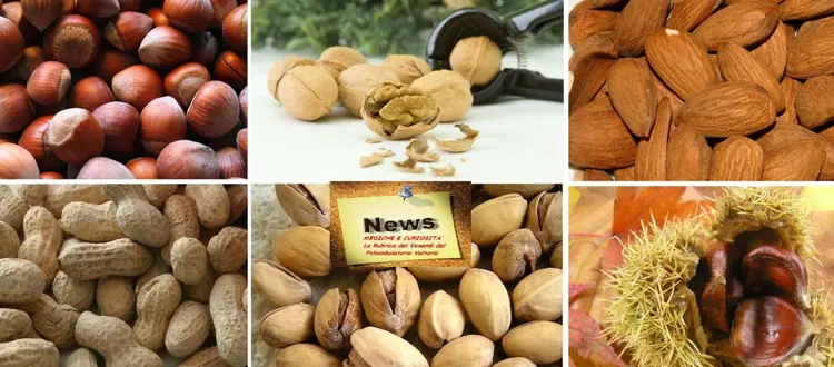 La frutta secca e le sue grandi proprietà, per diminuire il girovita addominale e proteggere il sistema cardiovascolare,