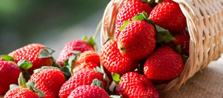 Delle proprietà salutari delle fragole e di qualche altra curiosità, di questo tratteremo nella Rubrica di Venerdì 4 Maggio.