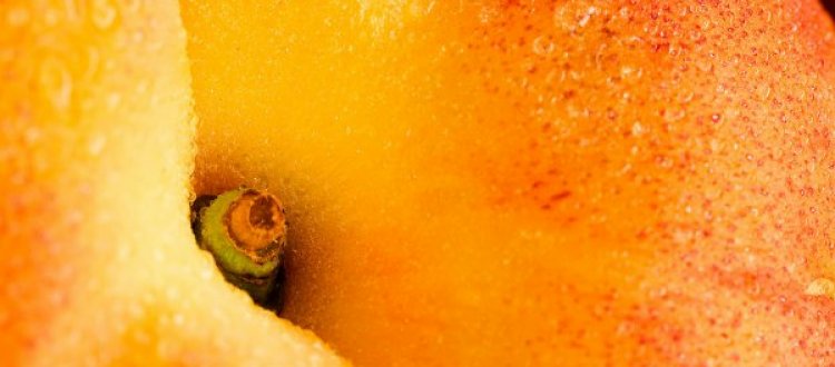 IL FRUTTO DEL MESE DI AGOSTO: LA PESCA