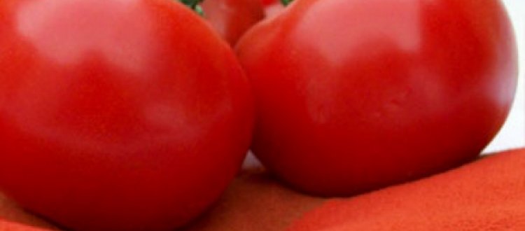 LA VERDURA DEL MESE DI AGOSTO: IL POMODORO