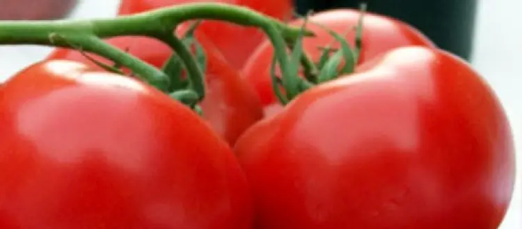 LA VERDURA DEL MESE DI AGOSTO: IL POMODORO