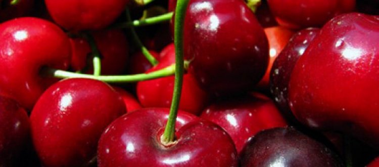 IL FRUTTO DEL MESE DI GIUGNO: LA CILIEGIA