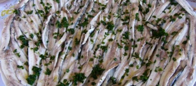 RICETTE: ALICI MARINATE