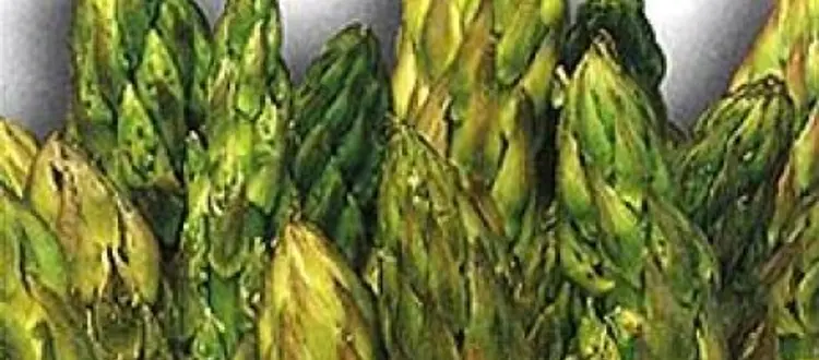 LA SCHEDA DEL MESE: ASPARAGI