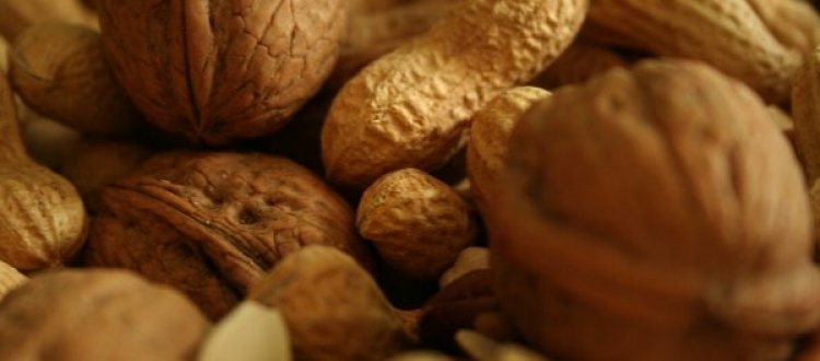 IL FRUTTO DEL MESE: LA FRUTTA SECCA