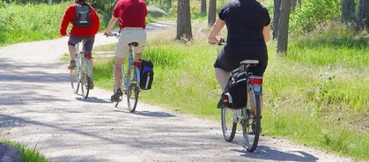 FATE PIU SPORT PER MANTENERE SANE LE CAROTIDI