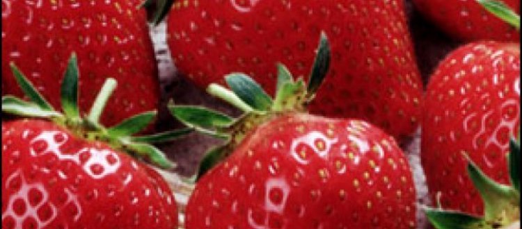 IL FRUTTO DEL MESE: FRAGOLA