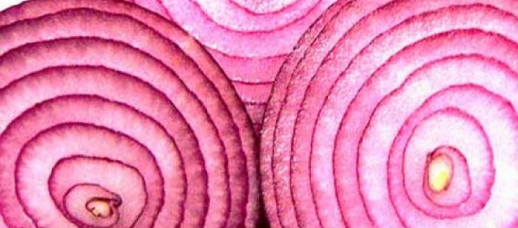 LA VERDURA DEL MESE DI SETTEMBRE: LA CIPOLLA