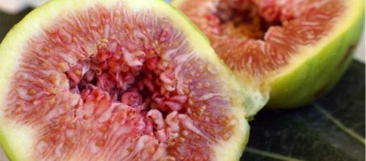 ALIMENTI DEL MESE DI SETTEMBRE